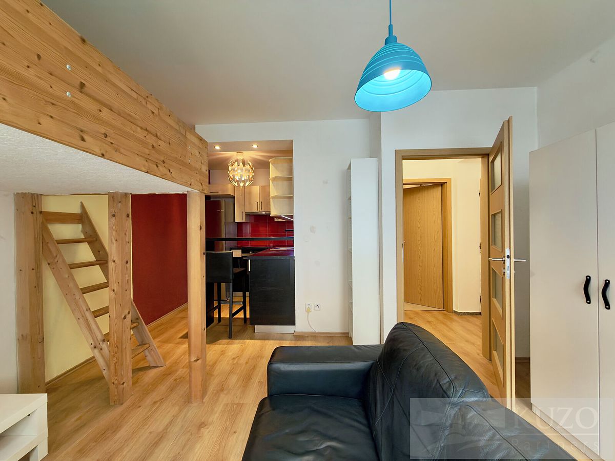 Pronájem bytu 1+kk 25 m² – fotografie 4