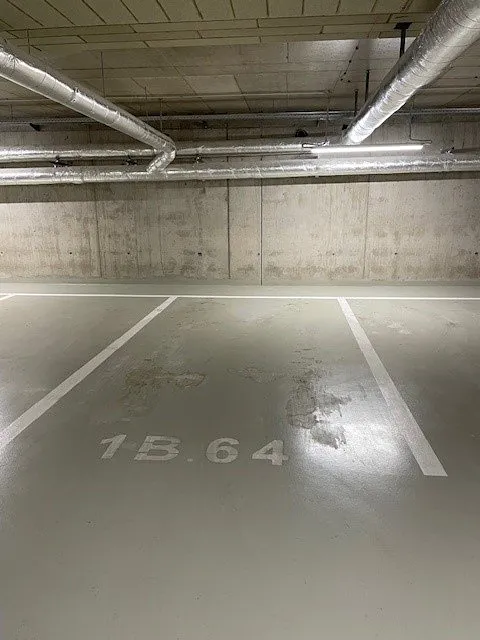 Fotka 8 z 15