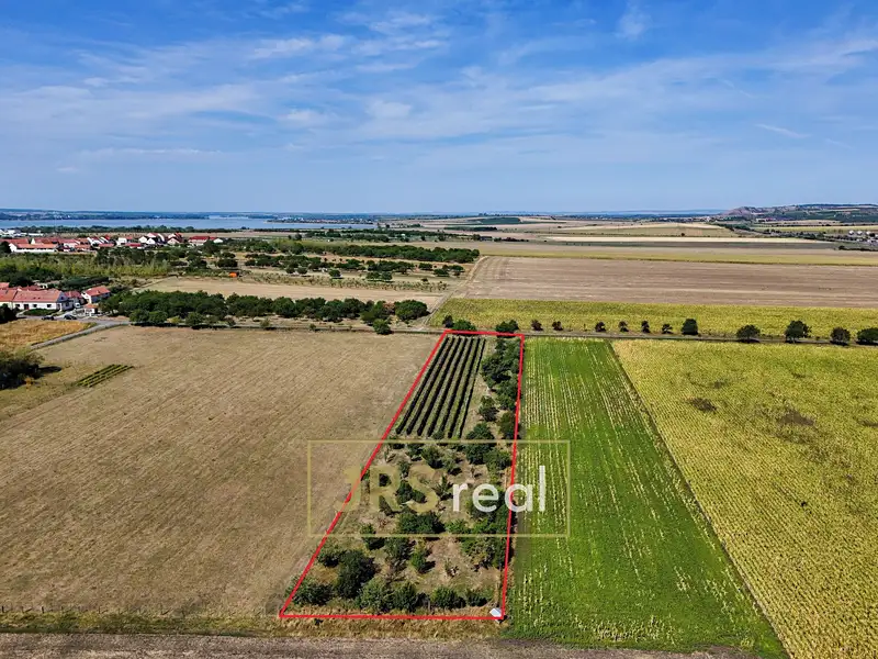 Prodej zahrady 5111 m², Šakvice – náhled fotky 2