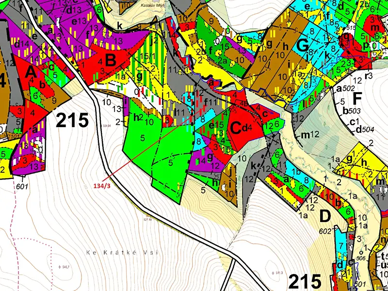 Dražba lesa 8330 m², Žižkovo Pole – náhled fotky 3