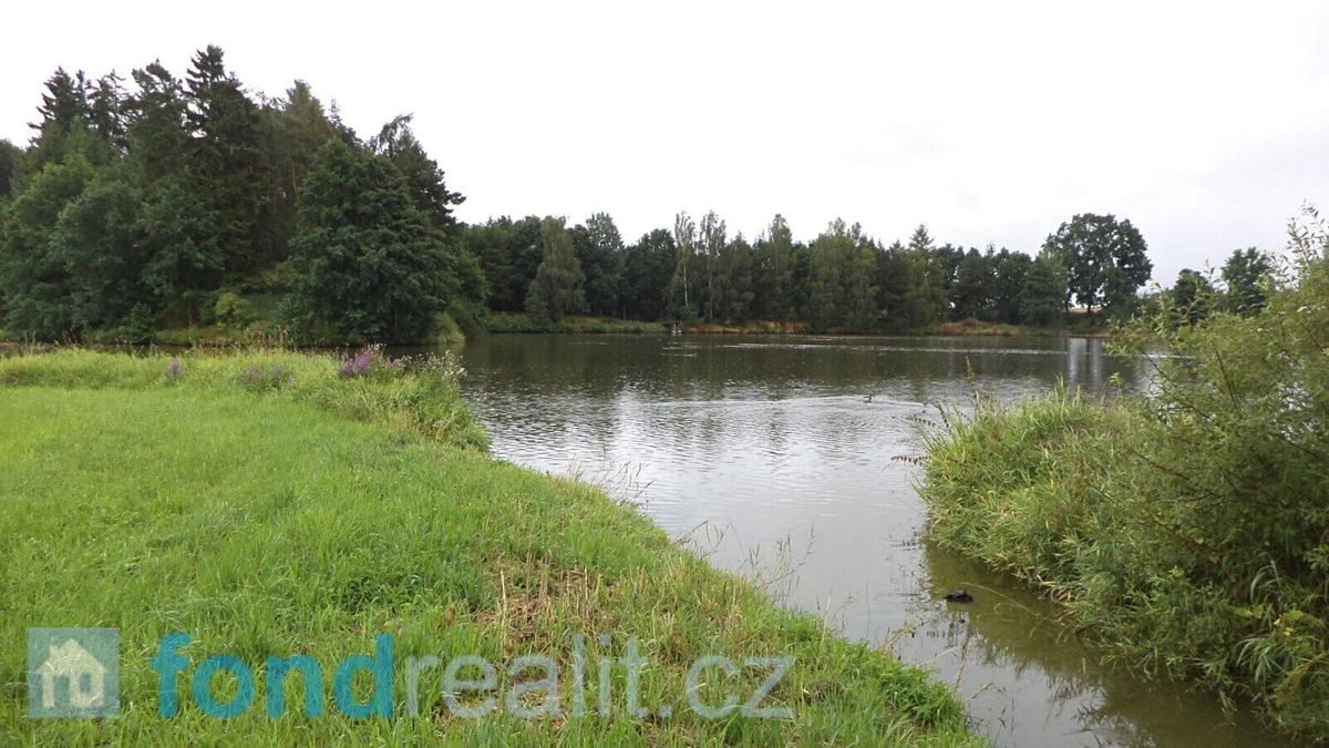 Prodej pozemku 5241 m² – fotografie 4