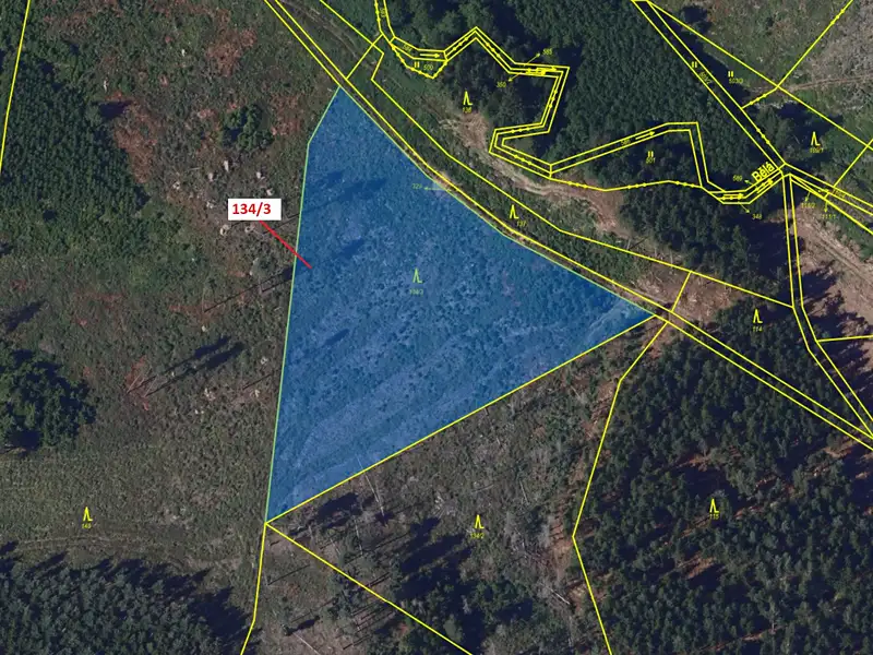 Dražba lesa 8330 m², Žižkovo Pole – náhled fotky 2