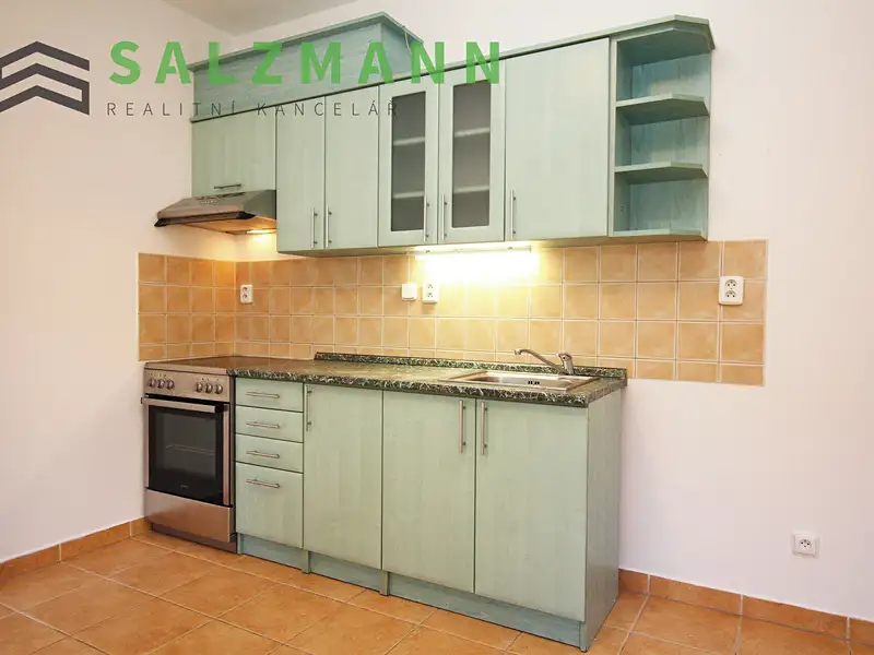 Prodej bytu 1+kk 40 m², Plzeň – náhled fotky 2