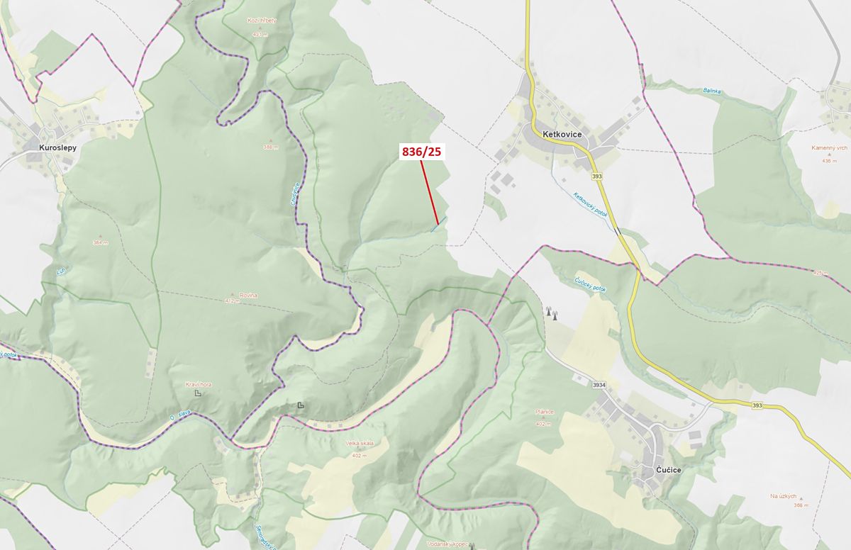 Dražba lesa 907 m², Ketkovice – fotka 1 z 3
