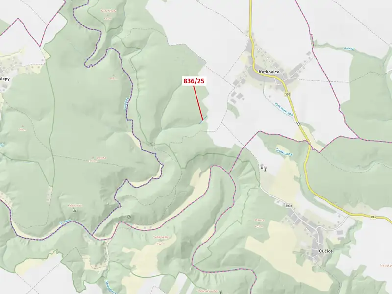Dražba lesa 907 m², Ketkovice – náhled fotky 1