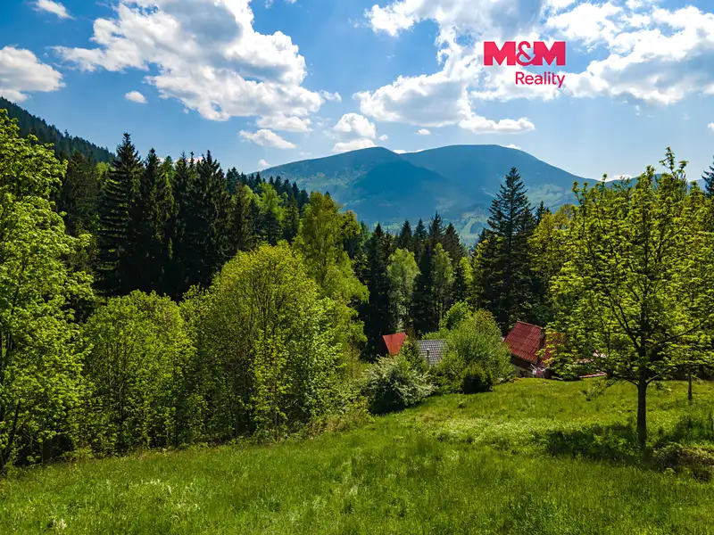 Prodej stavebního pozemku 3902 m², Ostravice – náhled fotky 1