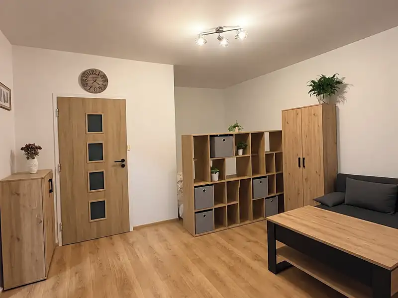 Pronájem bytu 1+1 32 m², Přerov – náhled fotky 1