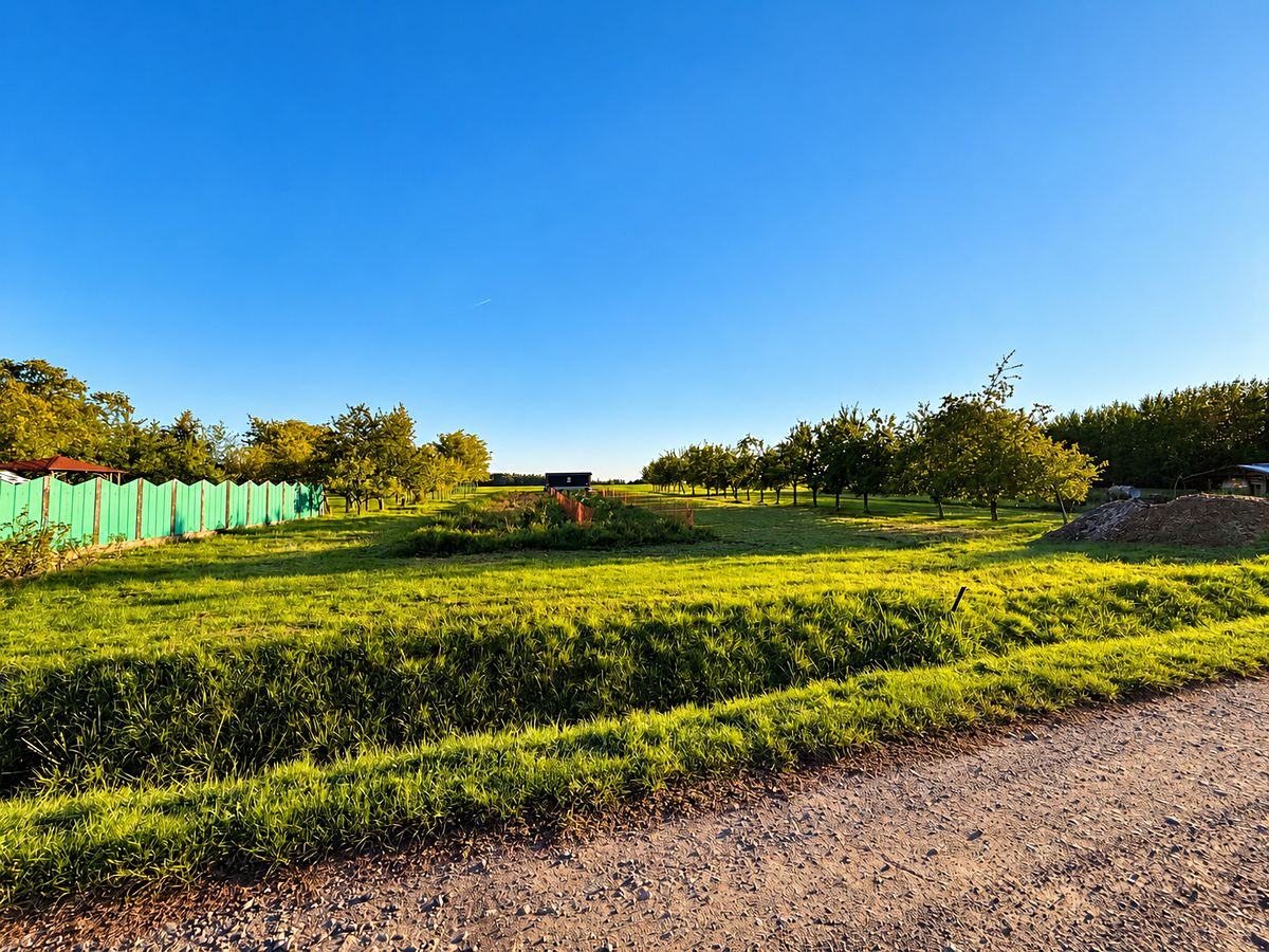 Prodej stavebního pozemku 1600 m² – fotografie 5