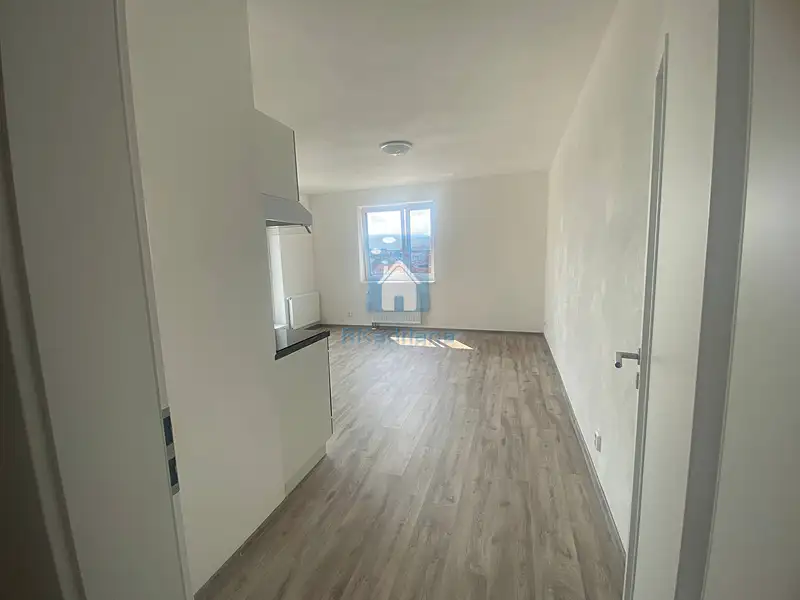 Pronájem bytu 2+kk 78 m², Plzeň – náhled fotky 2