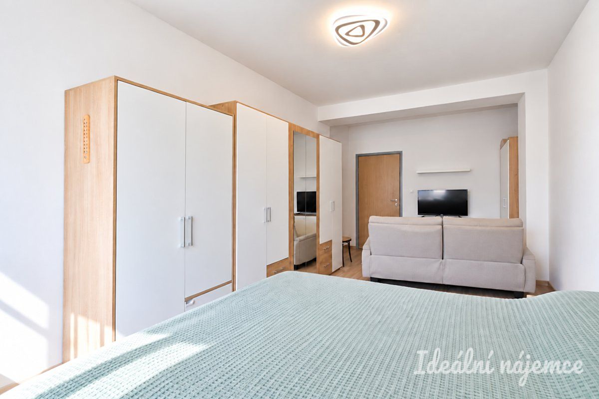 Pronájem bytu 2+1 54 m² – fotografie 4
