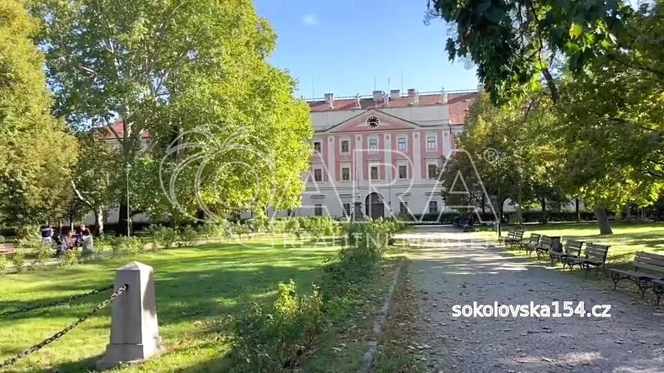 Fotka 10 z 11