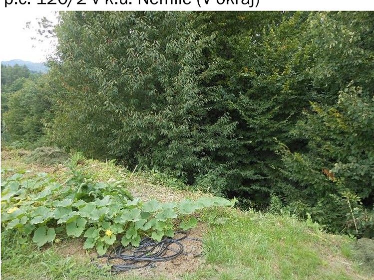 Grundstück zum Kauf, 323 m² (4 von 7)