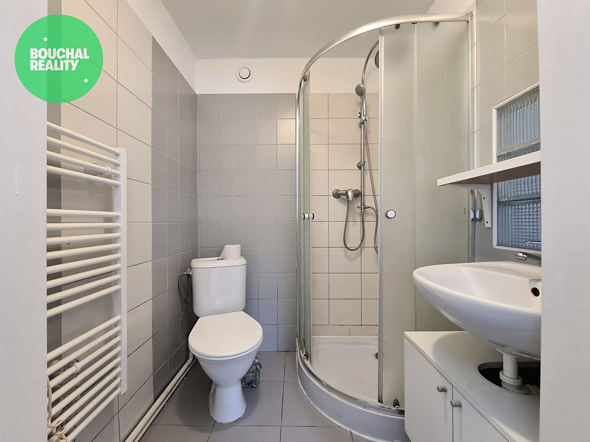 Pronájem bytu 1+kk 25 m² – fotografie 5