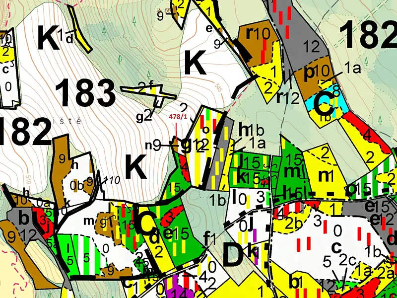 Dražba lesa 710 m², Volfířov – náhled fotky 3