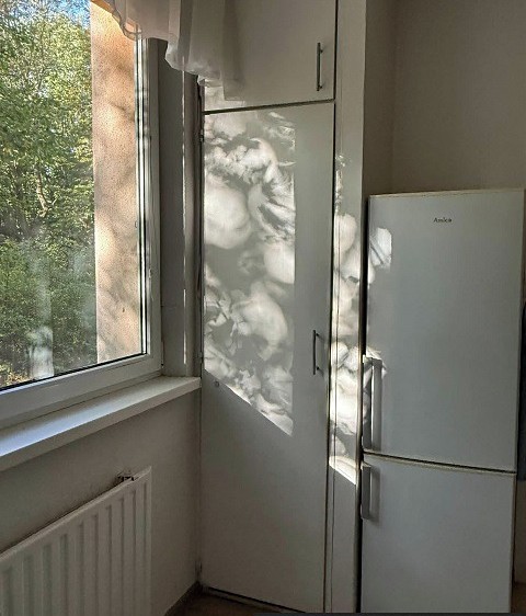 Prodej bytu 3+1, 69 m² (3 z 15)