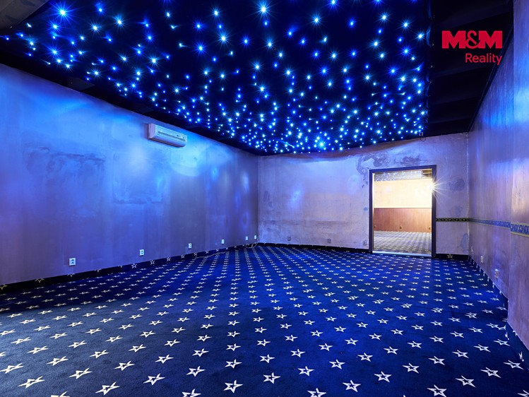 Gewerbefläche zur Miete, 205 m² (2 von 13)