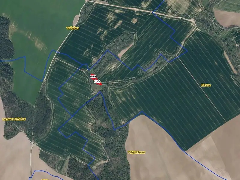Prodej louky 1632 m², Úštěk – náhled fotky 2