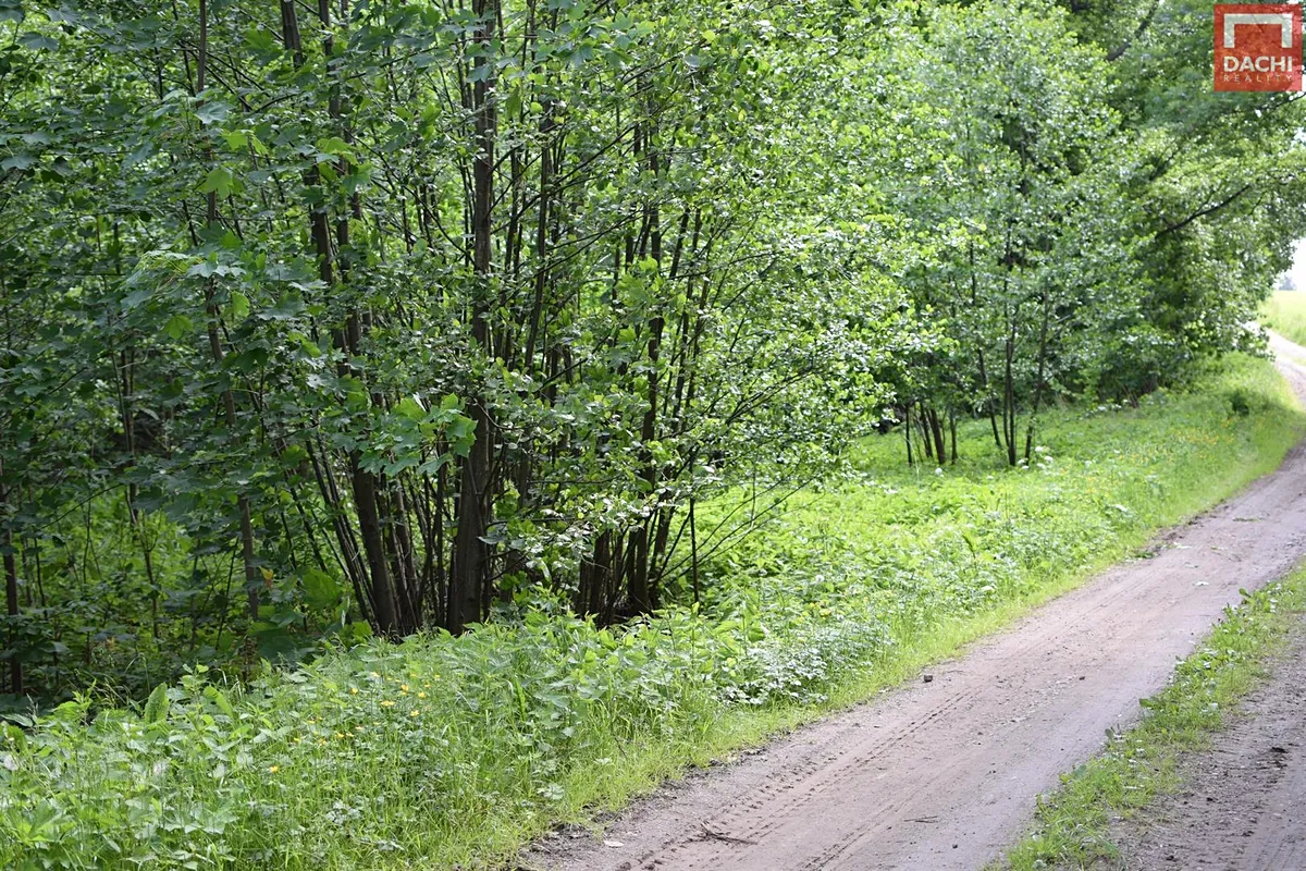 Fotka 14 z 17