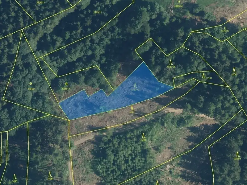 Dražba lesa 1781 m², Hovězí – náhled fotky 2