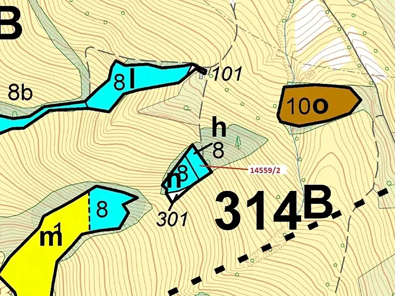 Dražba lesa 605 m², Hovězí – náhled fotky 3
