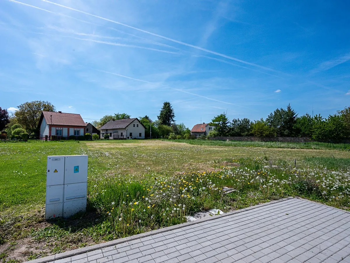 Fotka 8 z 9
