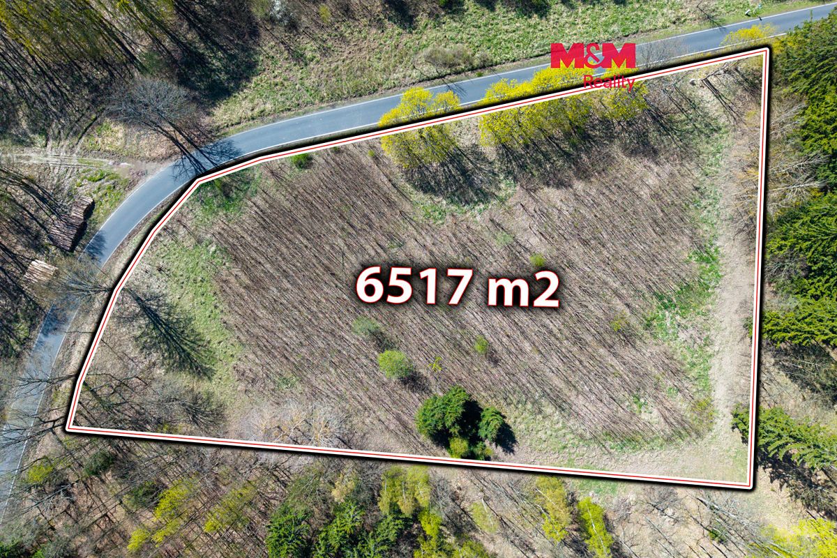 Prodej stavebního pozemku 6517 m², Libavské Údolí – fotka 1 z 3