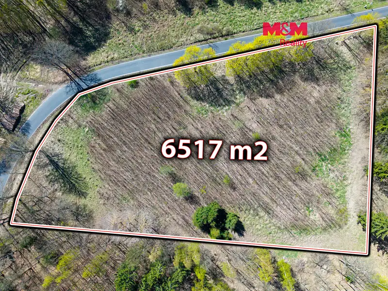 Prodej stavebního pozemku 6517 m², Libavské Údolí – náhled fotky 1