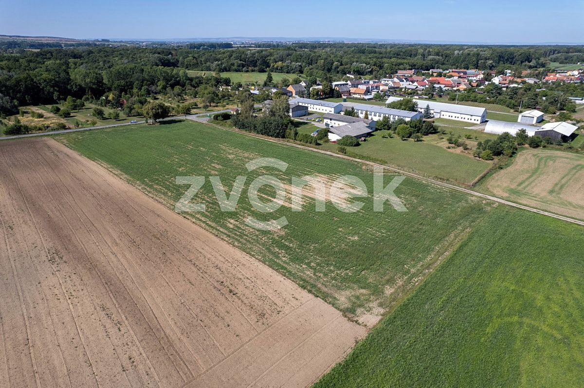 Prodej komerčního pozemku 12000 m² – fotografie 2