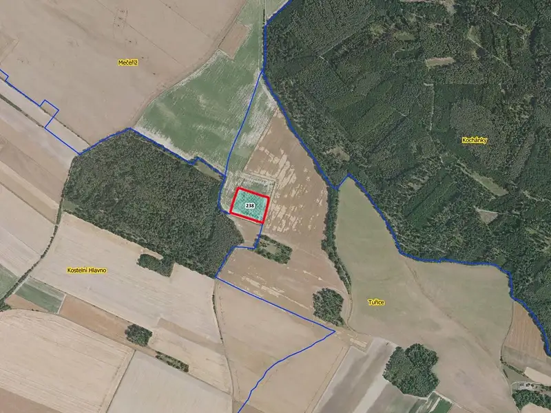 Prodej pole 13416 m², Tuřice – náhled fotky 3