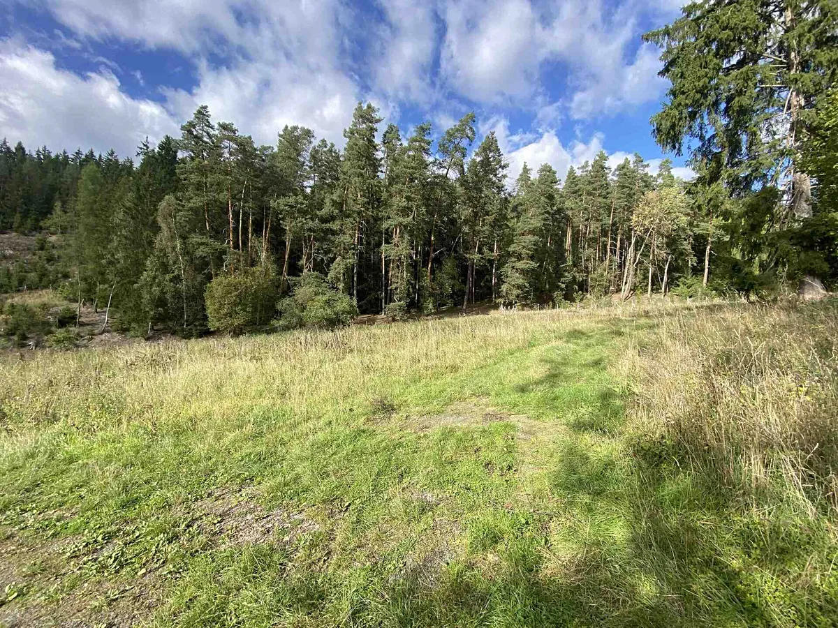 Prodej pole 7068 m²