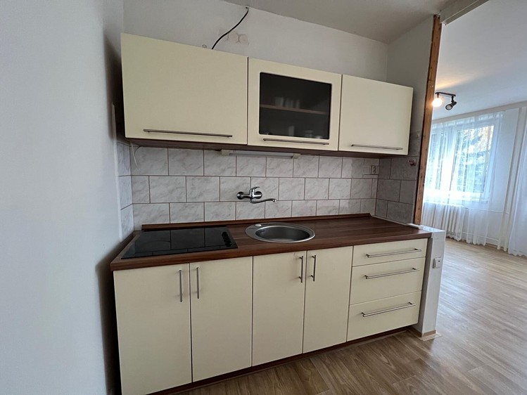 Квартира 1+kk в оренду, 33 м² (3 з 11)