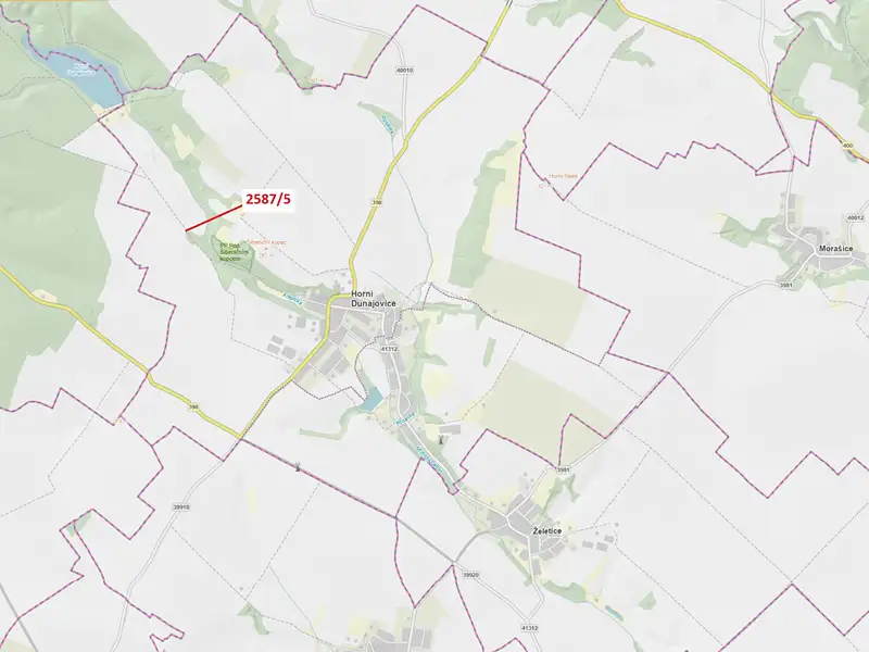 Dražba lesa 78 m², Horní Dunajovice – náhled fotky 1