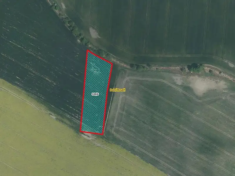 Prodej pole 6475 m², Dolní Roveň – náhled fotky 1