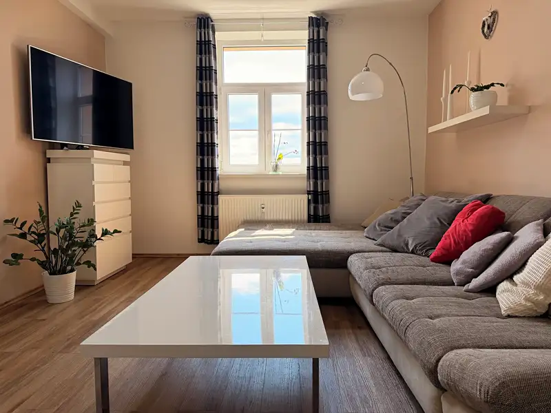 Pronájem bytu 3+kk 78 m², Plzeň – náhled fotky 3