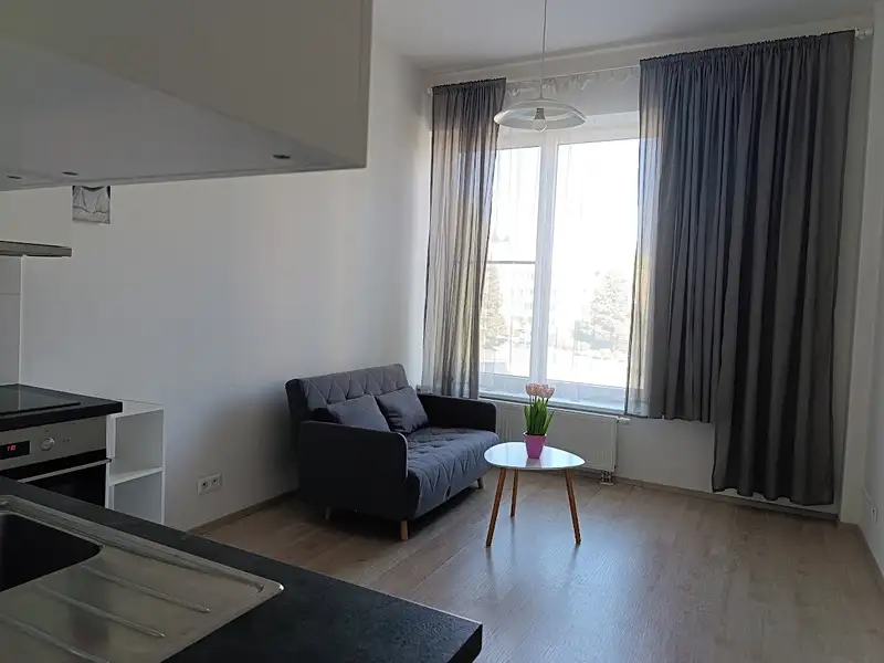 Pronájem bytu 1+kk 33 m², Brno – náhled fotky 2