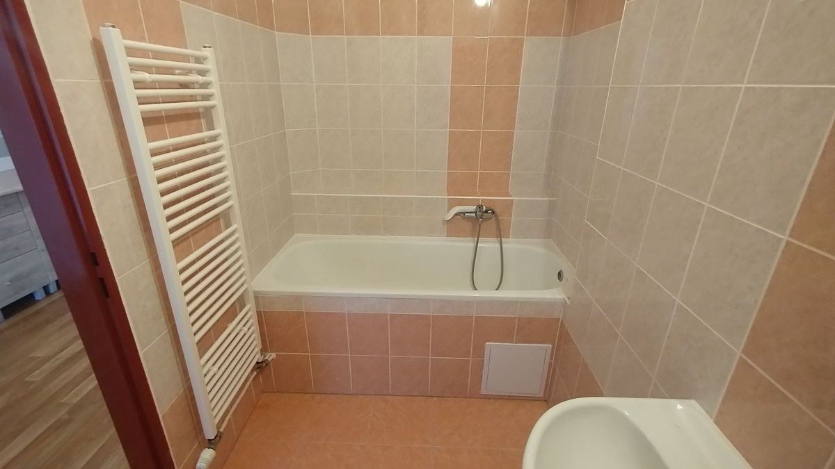 Pronájem bytu 1+1 50 m² – fotografie 3