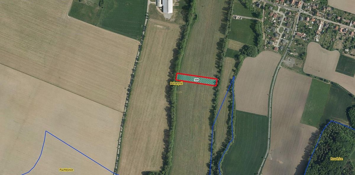 Prodej louky 4750 m² – fotografie 2