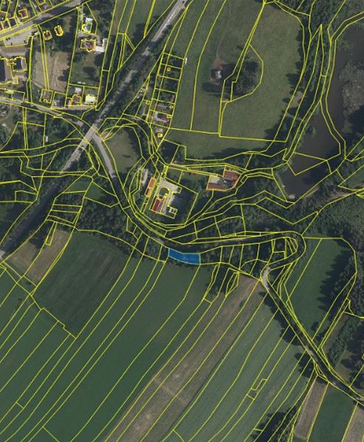 Prodej lesa 729 m² – fotografie 3