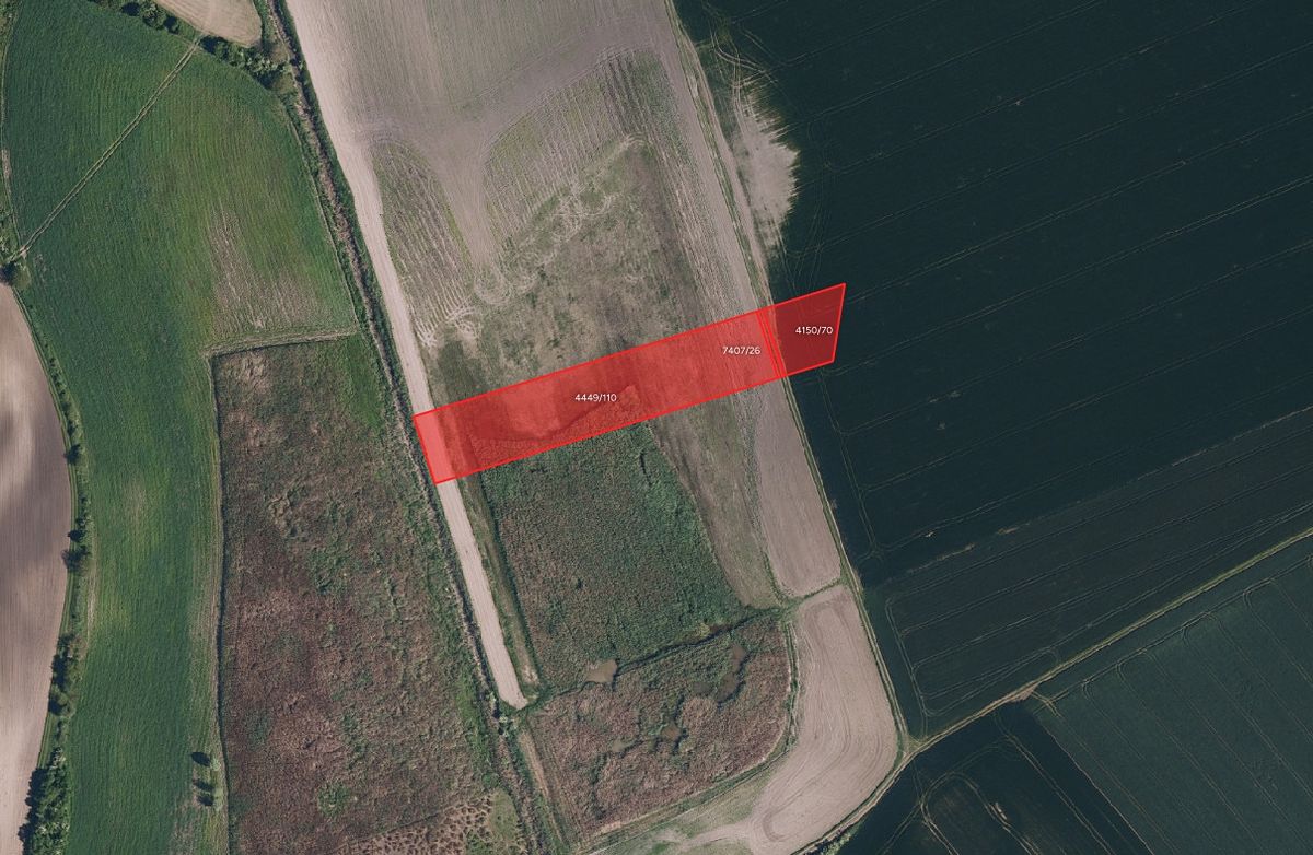 Prodej pole 7145 m²