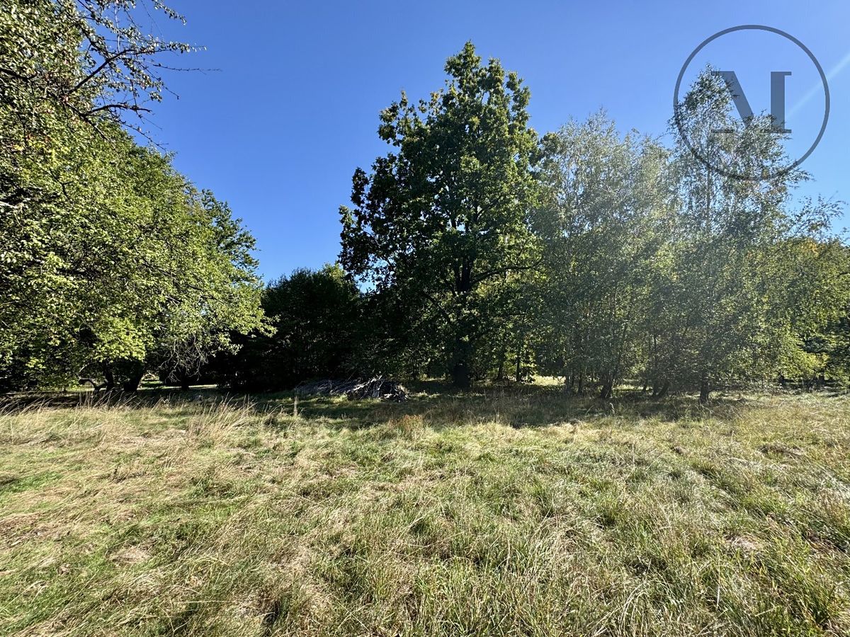 Prodej stavebního pozemku 2630 m² – fotografie 5