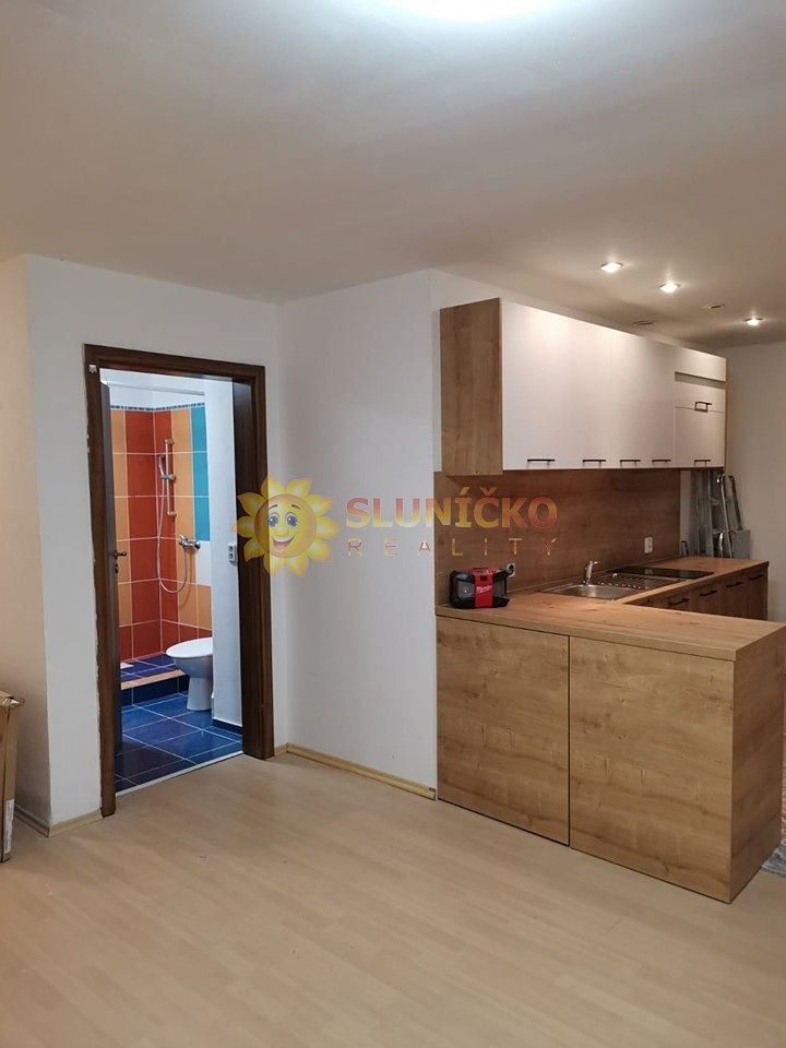 Pronájem bytu 1+kk 35 m² – fotografie 4