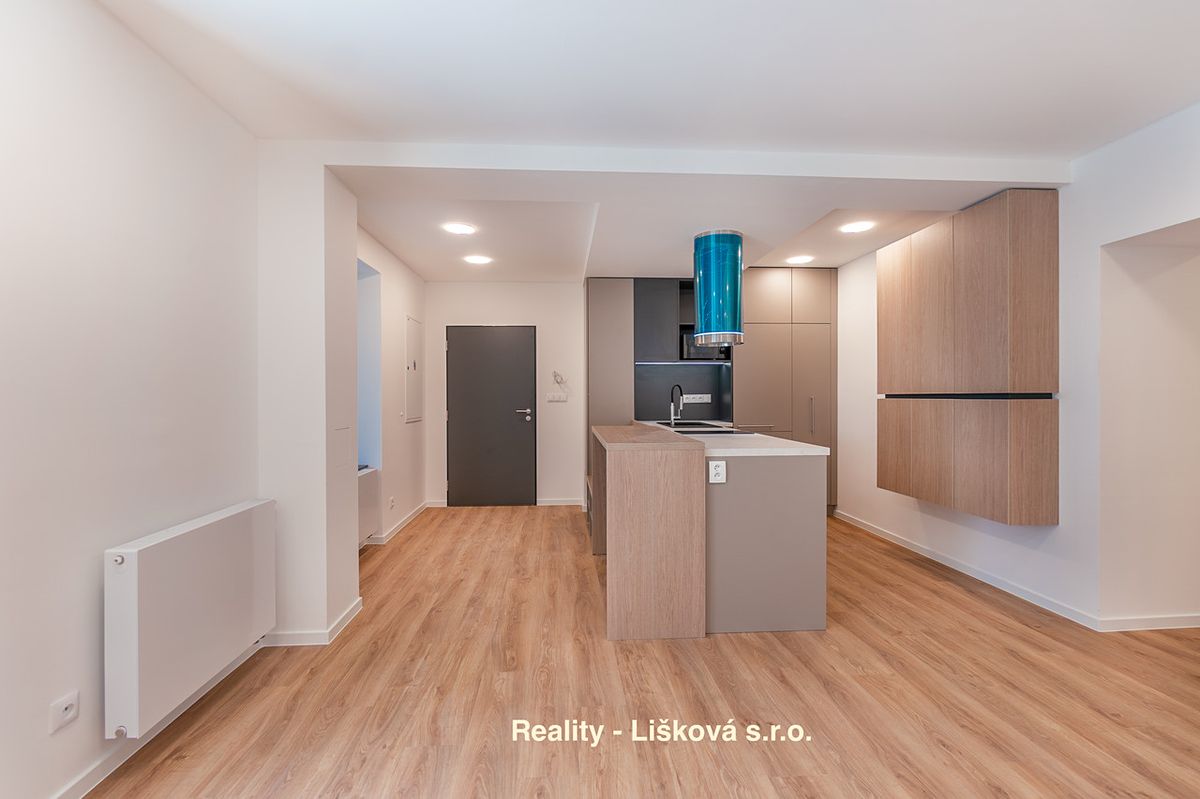 Pronájem bytu atypický 56 m² – fotografie 2