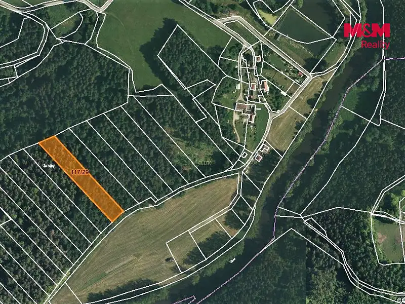 Prodej lesa 4921 m², Zlatá Koruna – náhled fotky 3