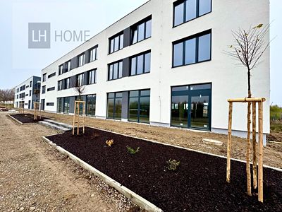 Pronájem obchodního prostoru 160 m²