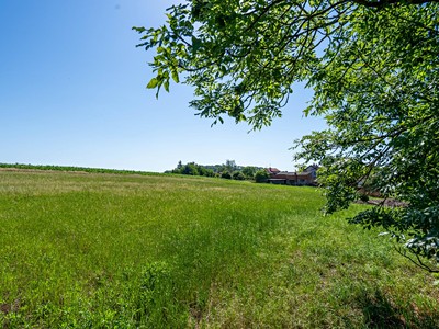 Grundstück zum Kauf, 1.506 m² (3 von 11)