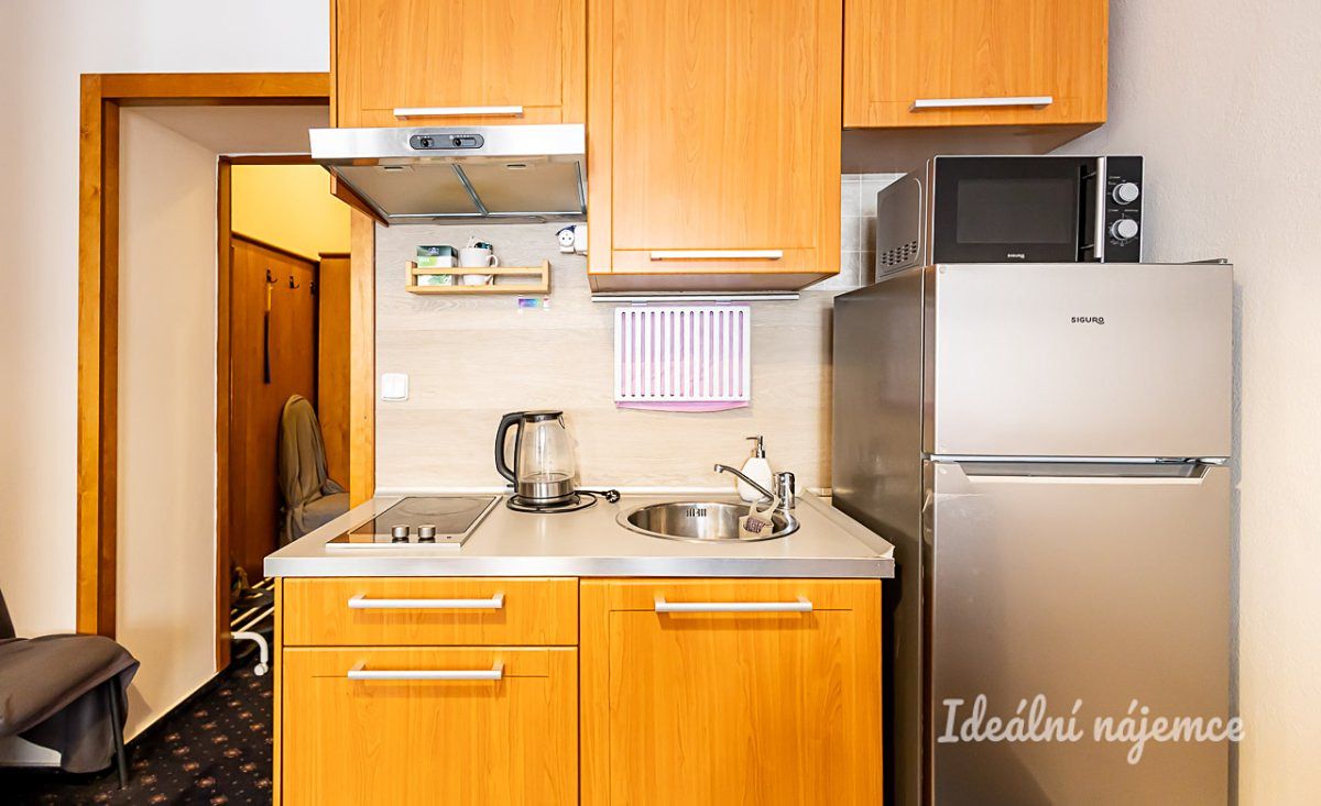 Pronájem bytu 1+kk 26 m² – fotografie 3