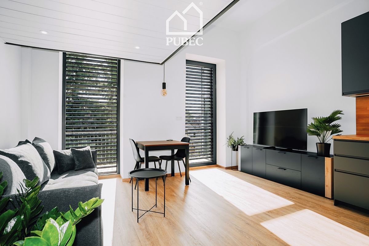 Pronájem bytu 1+kk 40 m² – fotografie 4