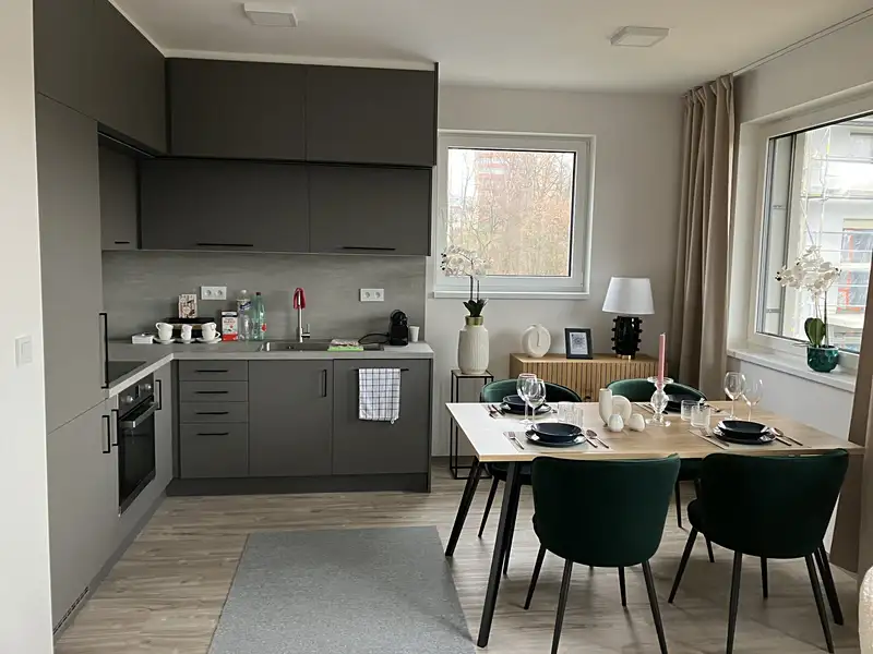Pronájem bytu 3+kk 75 m², Liberec – náhled fotky 2