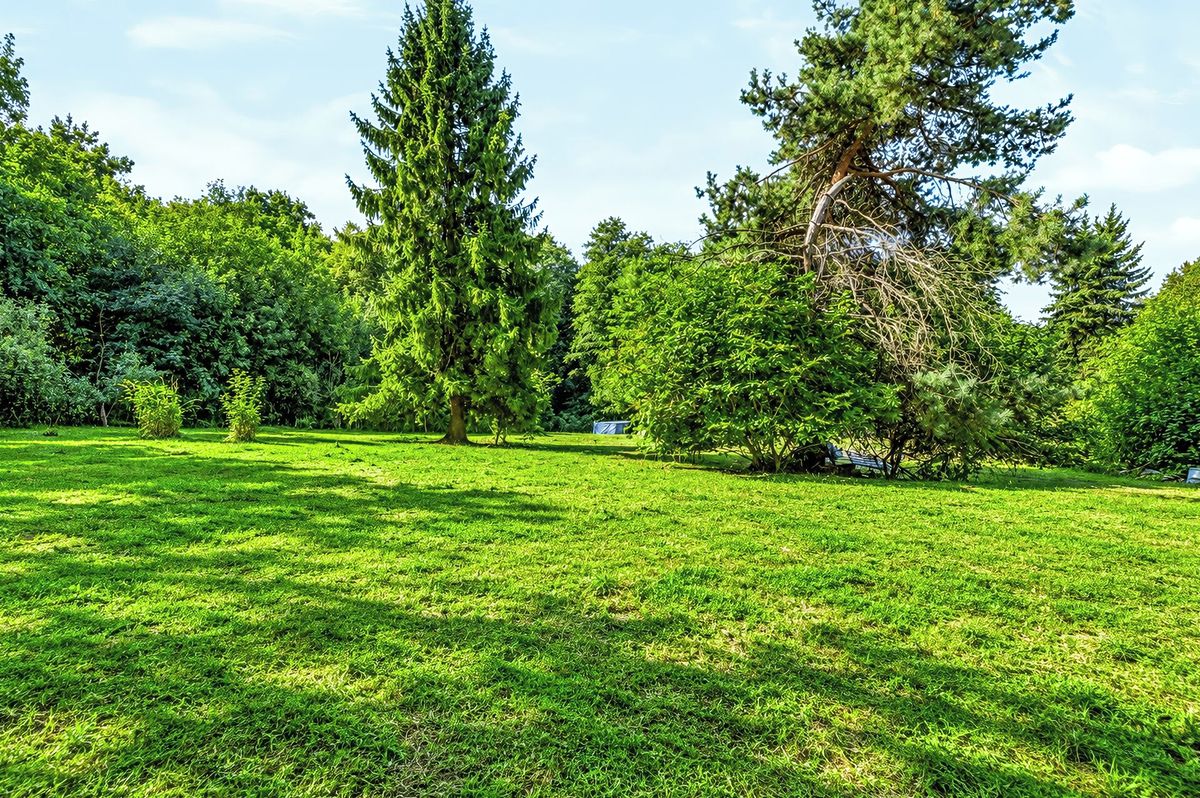 Prodej stavebního pozemku 3278 m² – fotografie 2