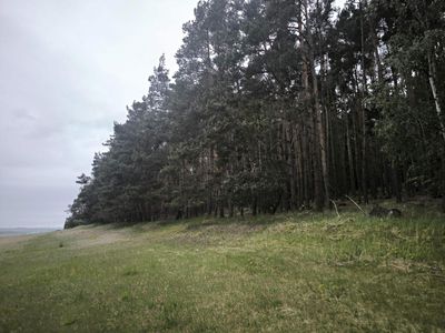 Prodej lesa 21226 m²